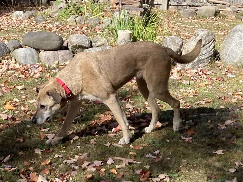 Stephanie thumbnail 5