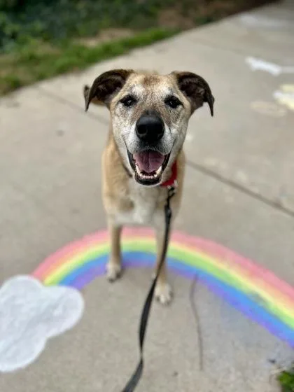 Stephanie thumbnail 6