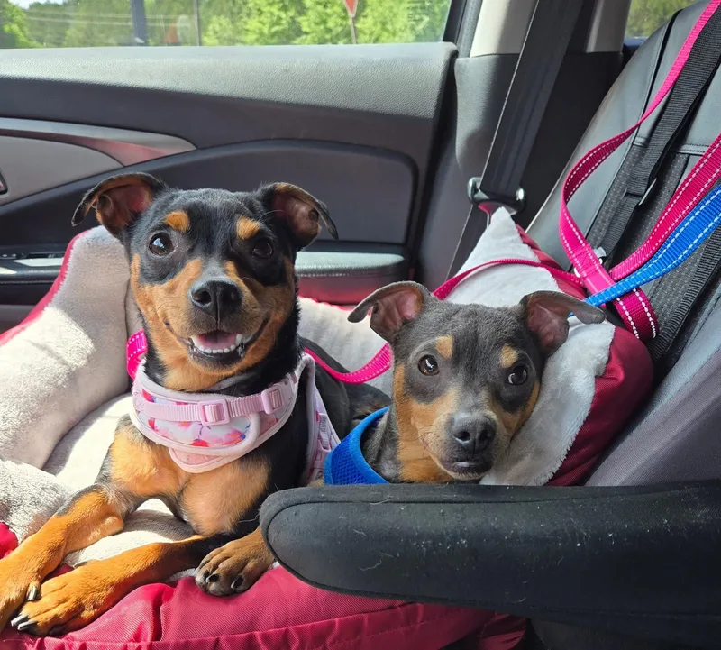 Mary And Moe  thumbnail 3