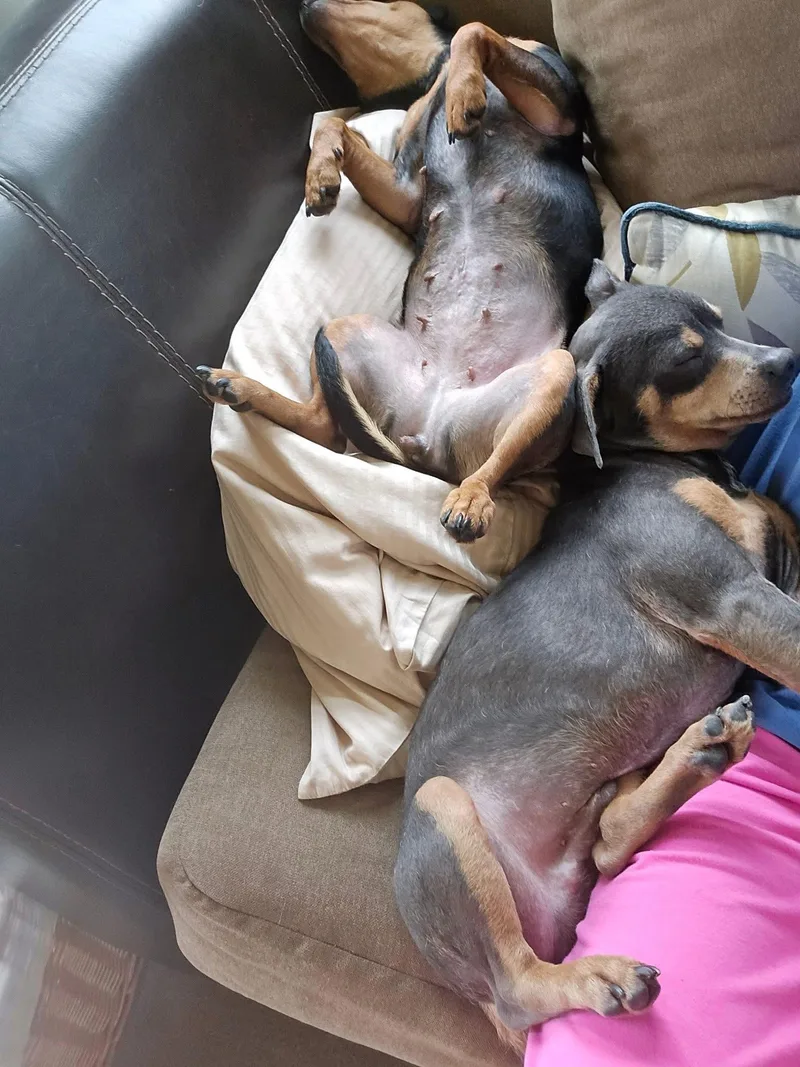 Mary And Moe  thumbnail 5