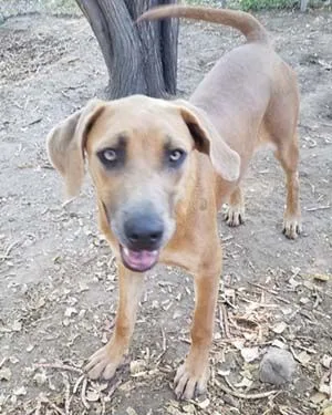 Beatrix