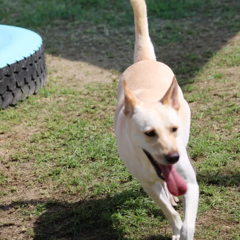 Salvador thumbnail 2