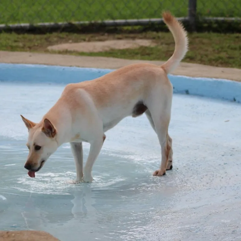 Salvador thumbnail 4