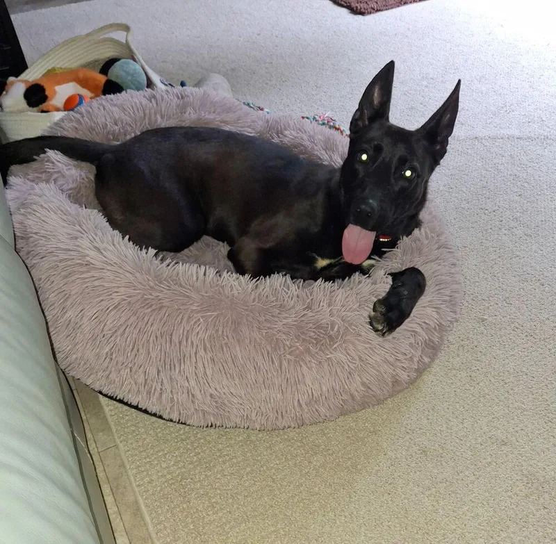 Skye