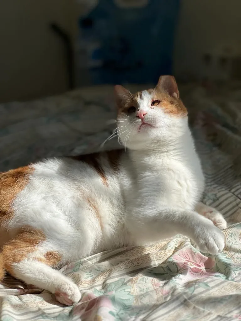 Floki  The Kindest thumbnail 2