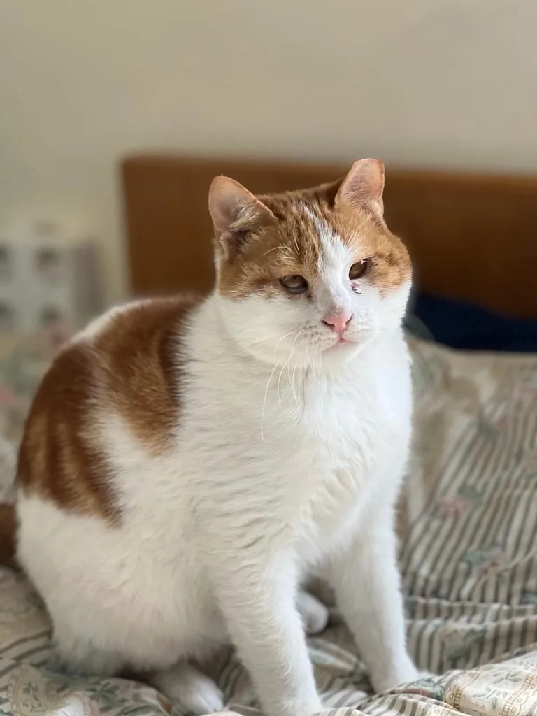 Floki  The Kindest thumbnail 5