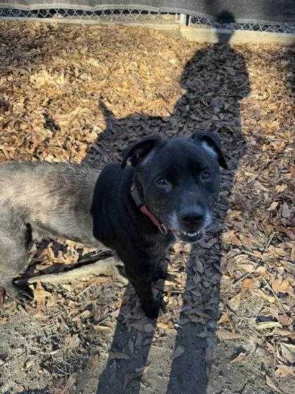 Midnight thumbnail 2