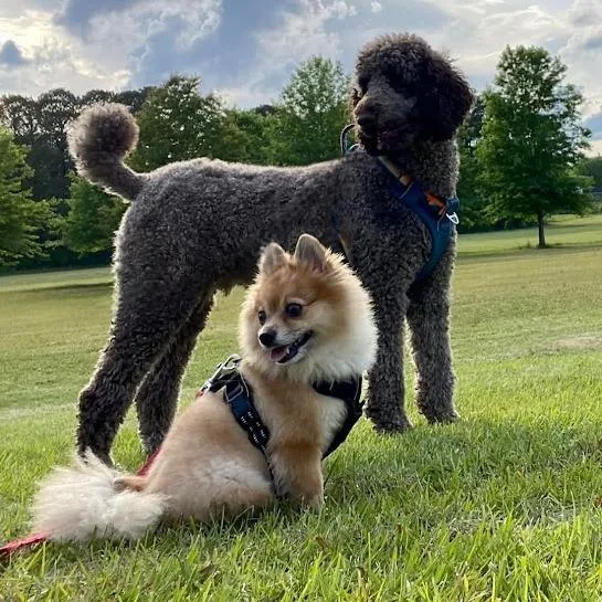 Courtesy Listing Cooper