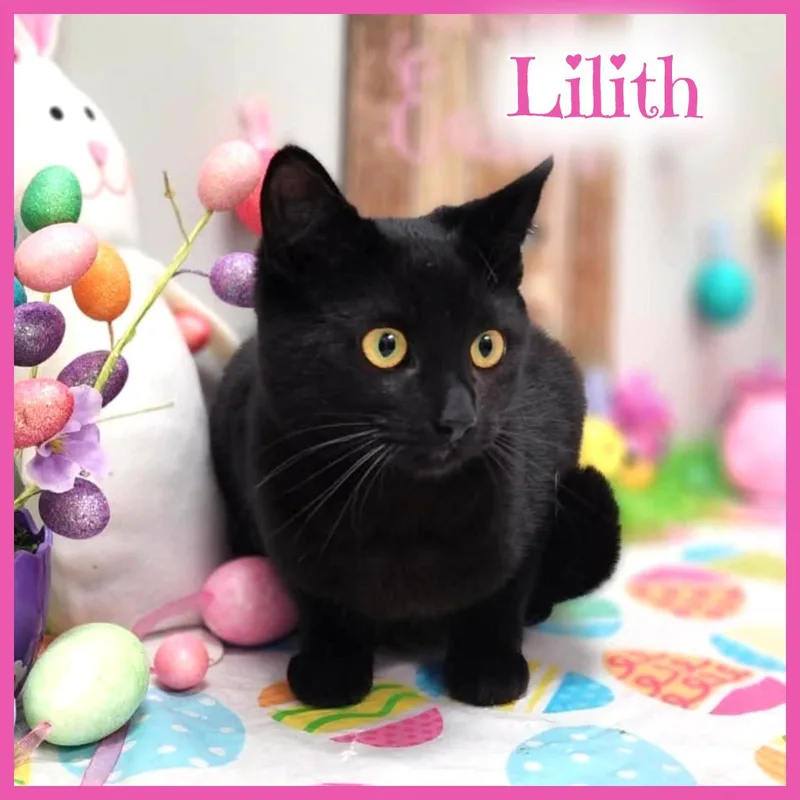Lilith