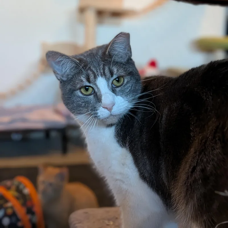 Margarine thumbnail 2