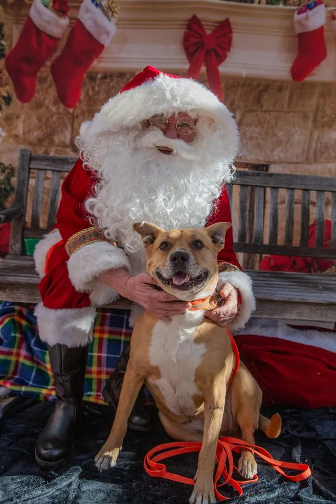 Emma 💕 thumbnail 2