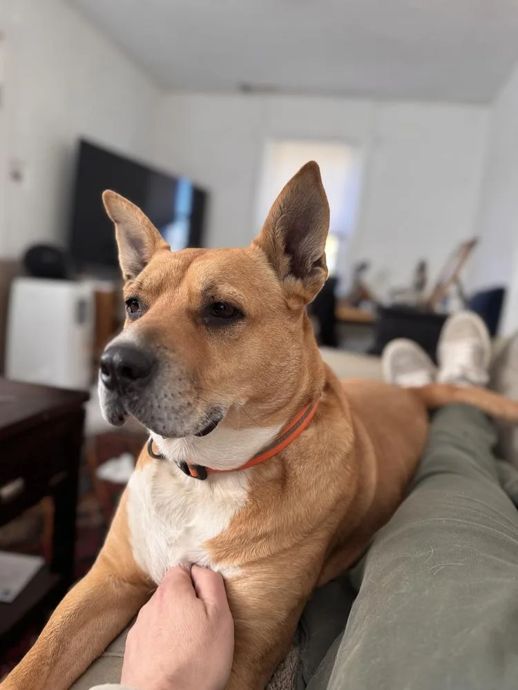 Emma 💕 thumbnail 3