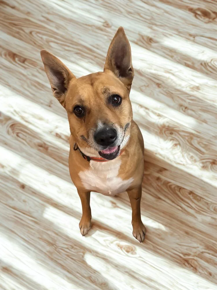 Emma 💕 thumbnail 4