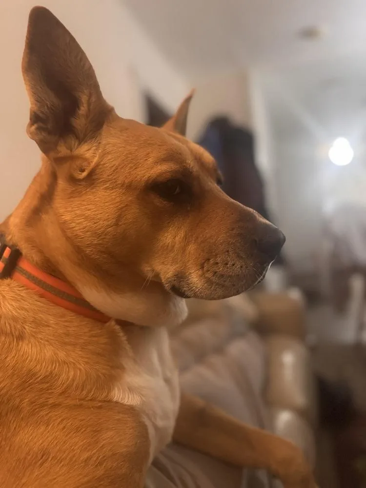 Emma 💕 thumbnail 5