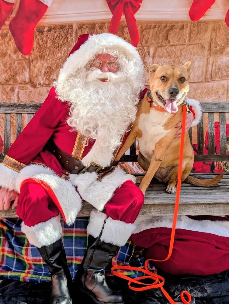 Emma 💕 thumbnail 6