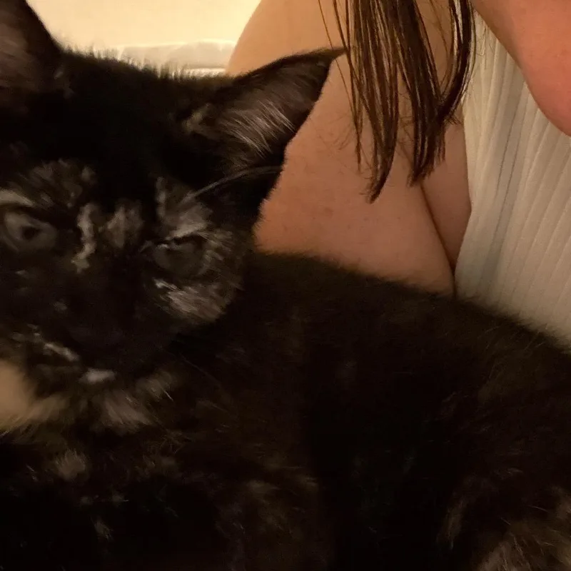 Penelope thumbnail 2