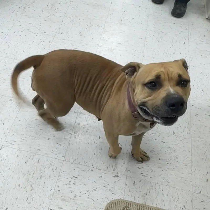 Juliette thumbnail 2