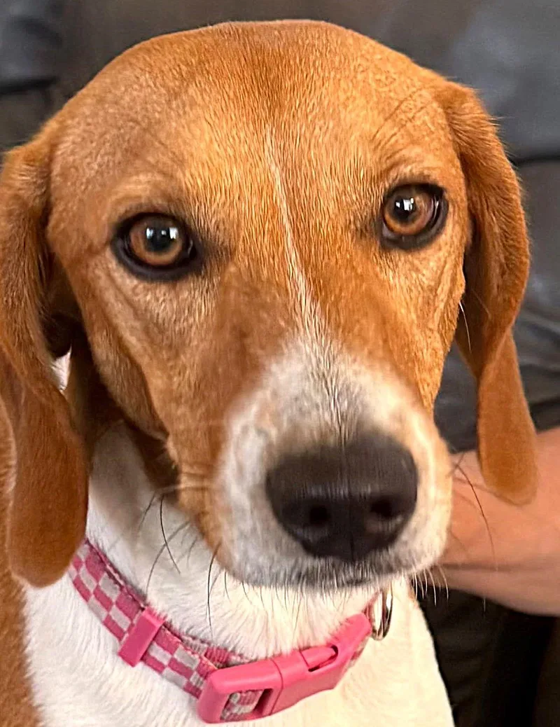 Maggie Vi thumbnail 2