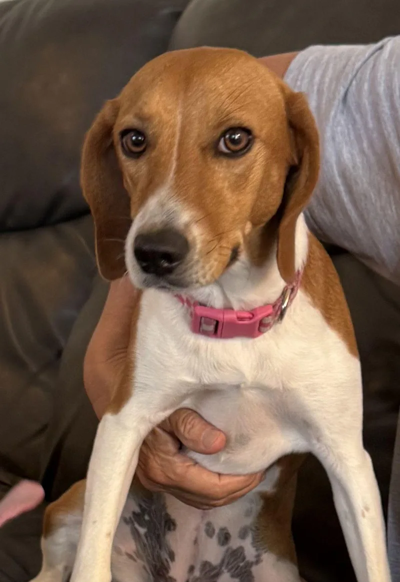 Maggie Vi thumbnail 3