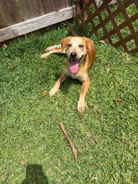 Coltonobre  Callie thumbnail 2