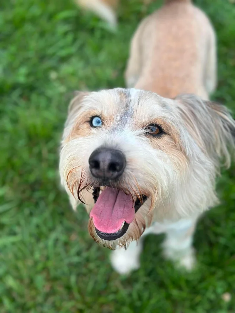 Murphy thumbnail 3
