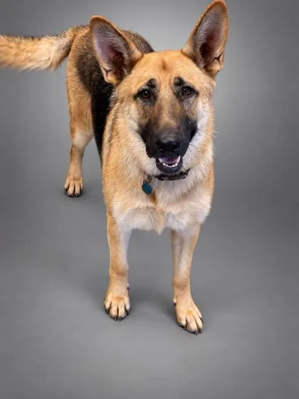 Nala