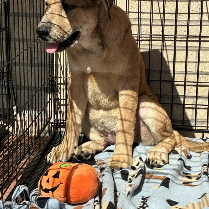 Winston And Wilma thumbnail 4