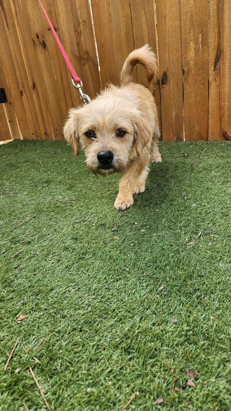 Moose Ka thumbnail 2