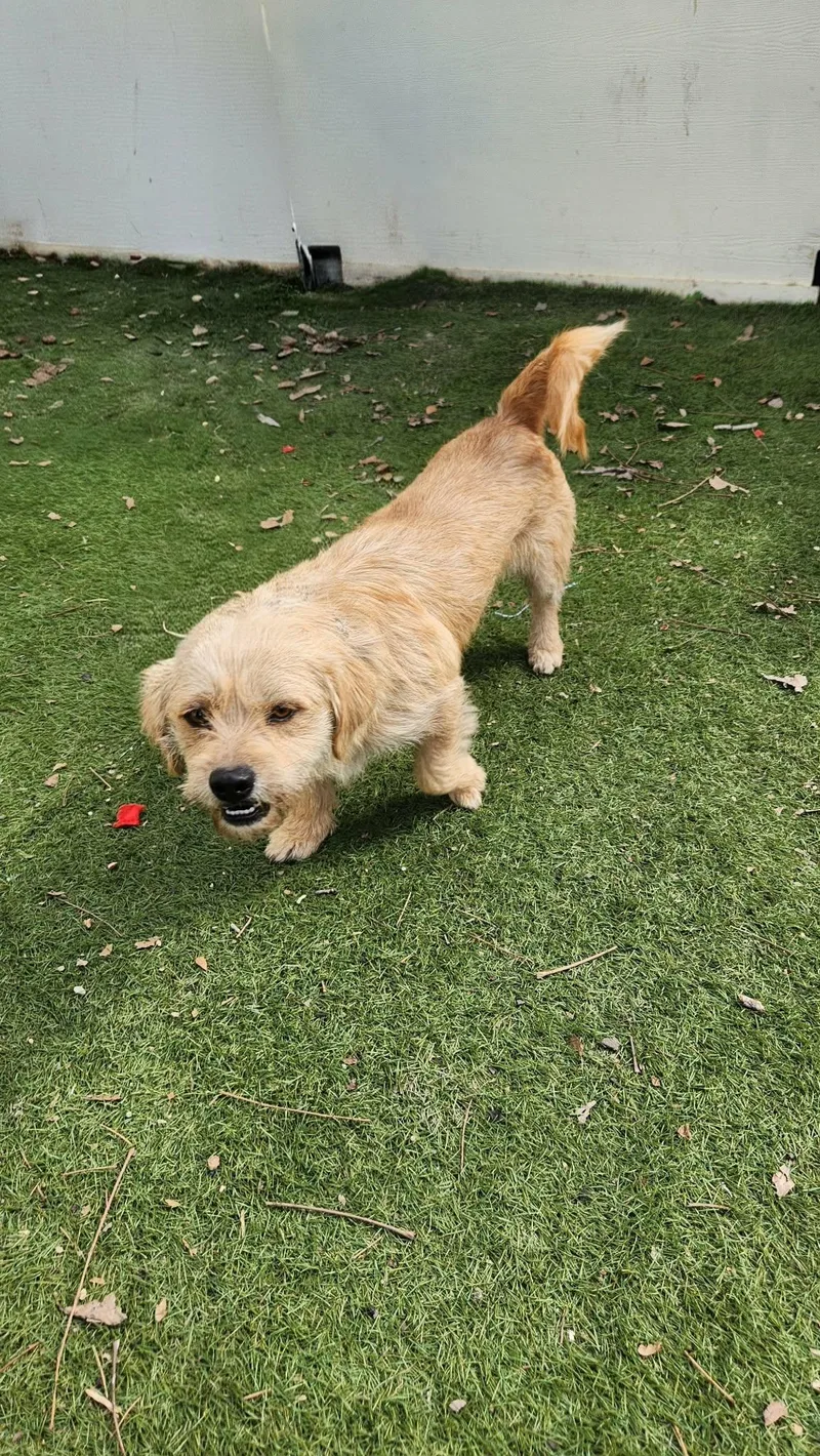 Moose Ka thumbnail 5