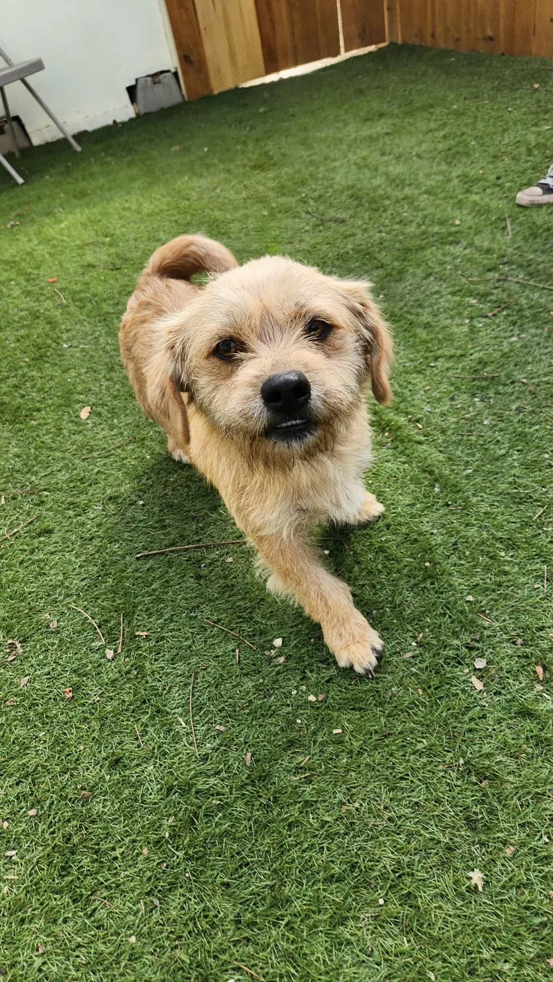 Moose Ka thumbnail 6