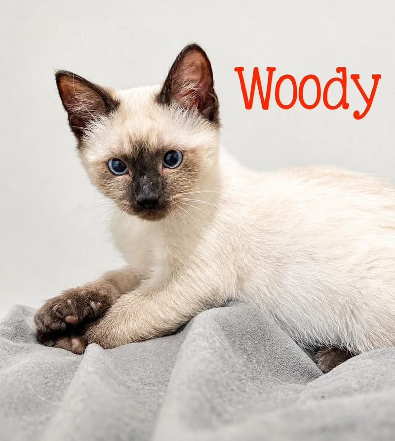 Woody