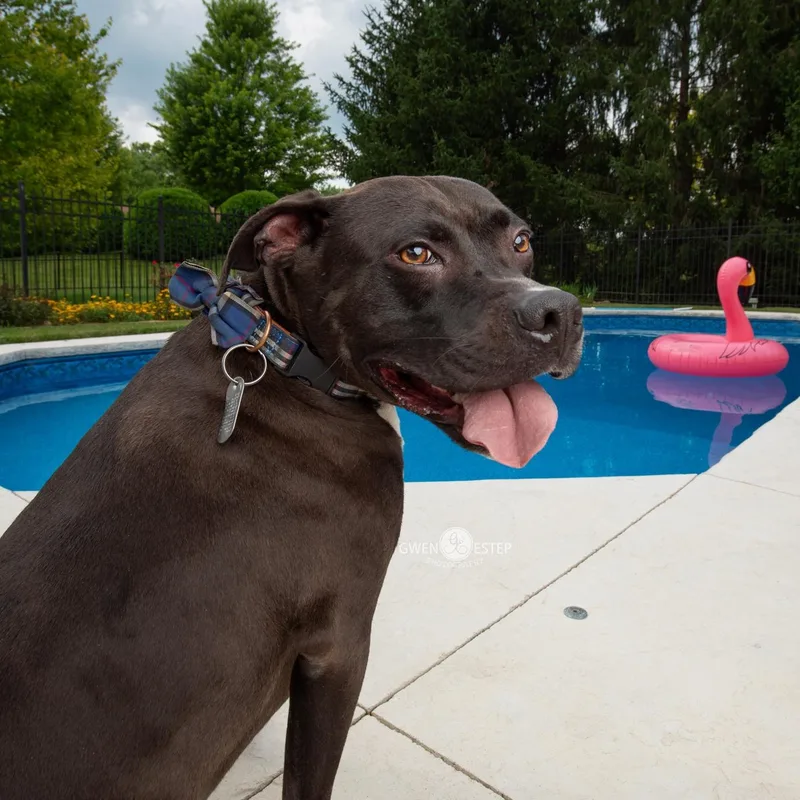 Wrangler thumbnail 4