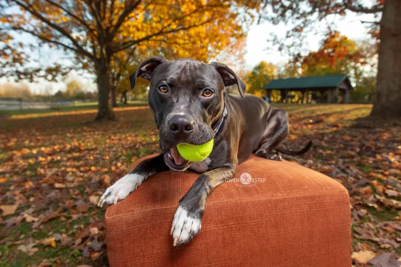 Wrangler thumbnail 5