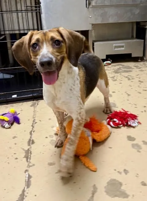 Winifred thumbnail 3