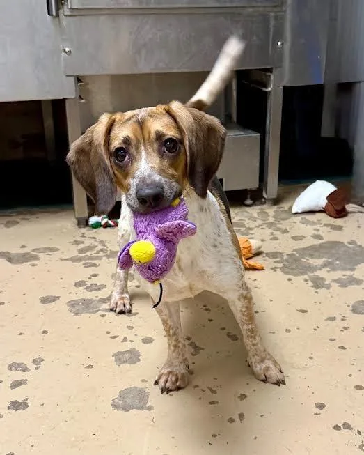 Winifred thumbnail 4