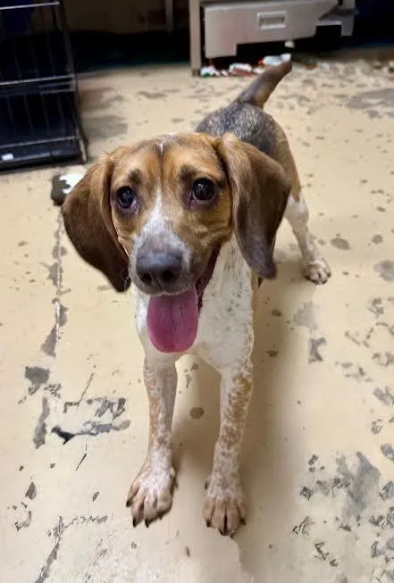 Winifred thumbnail 5