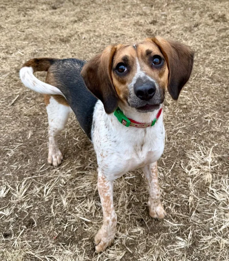 Winifred thumbnail 6