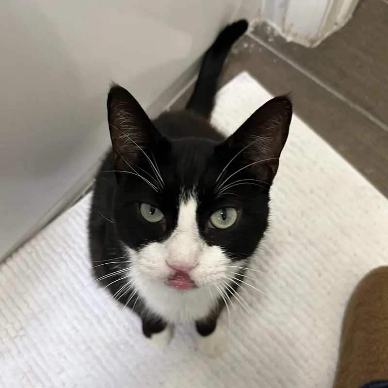 Sebastian thumbnail 6