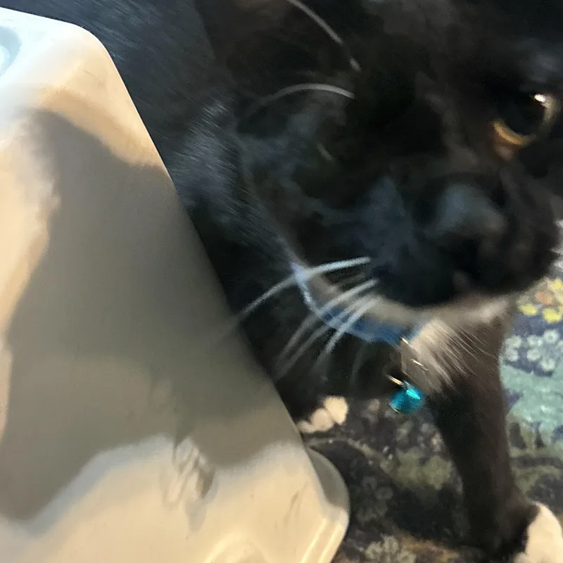 Socks thumbnail 4