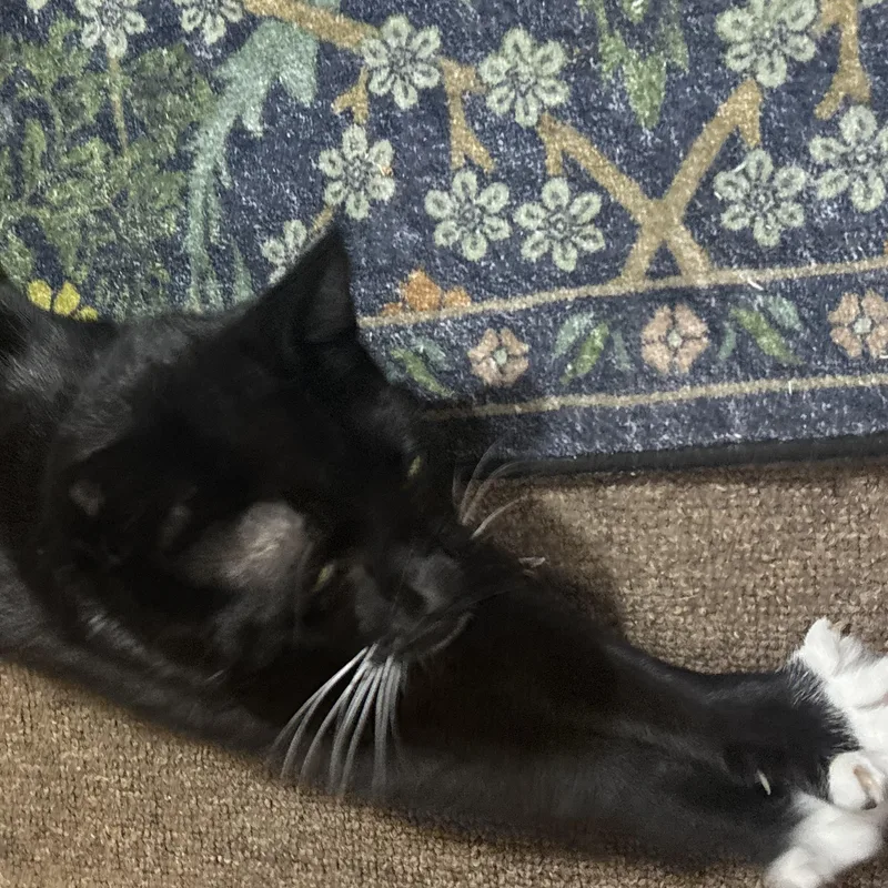 Socks thumbnail 6