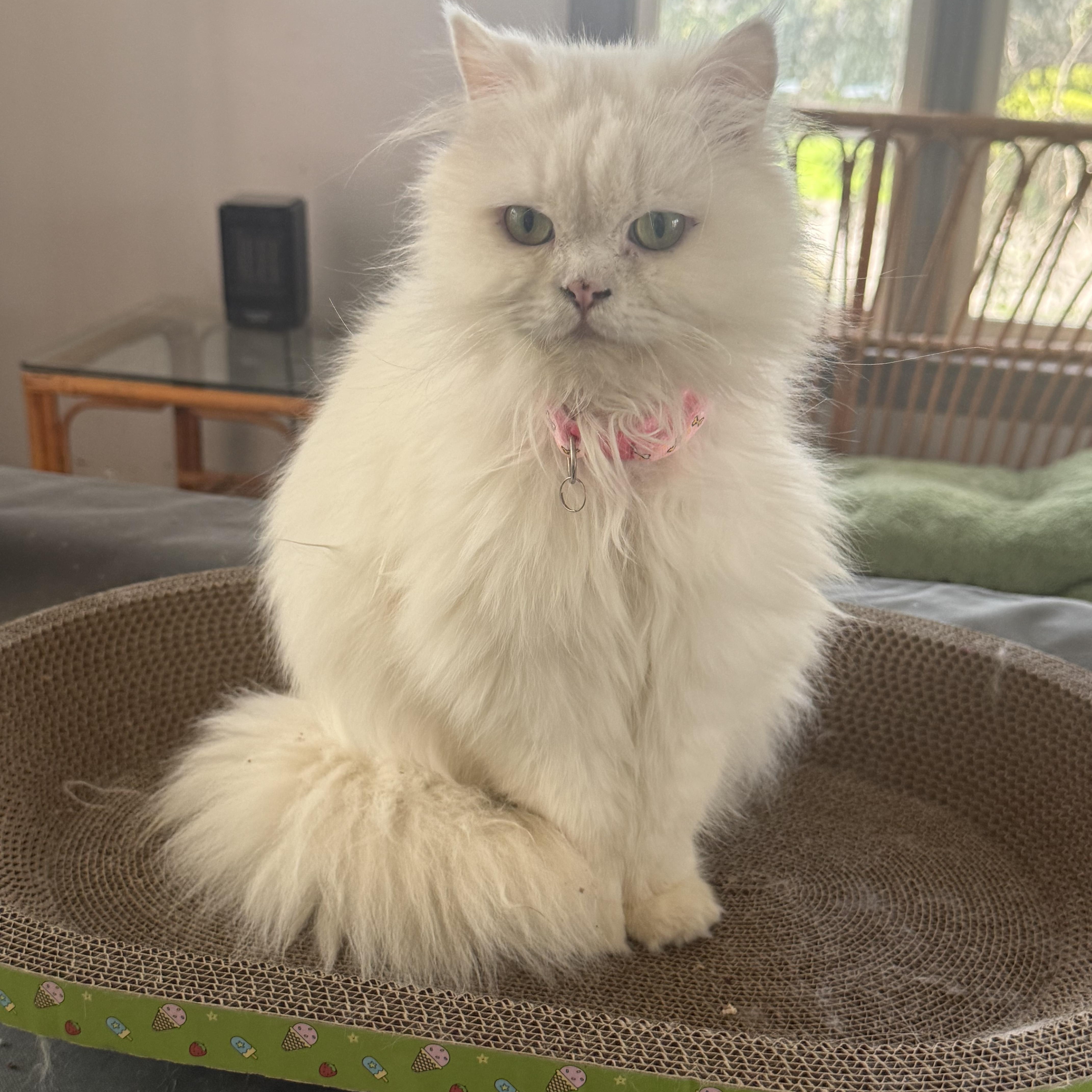 Marvelous Mirelle thumbnail 2