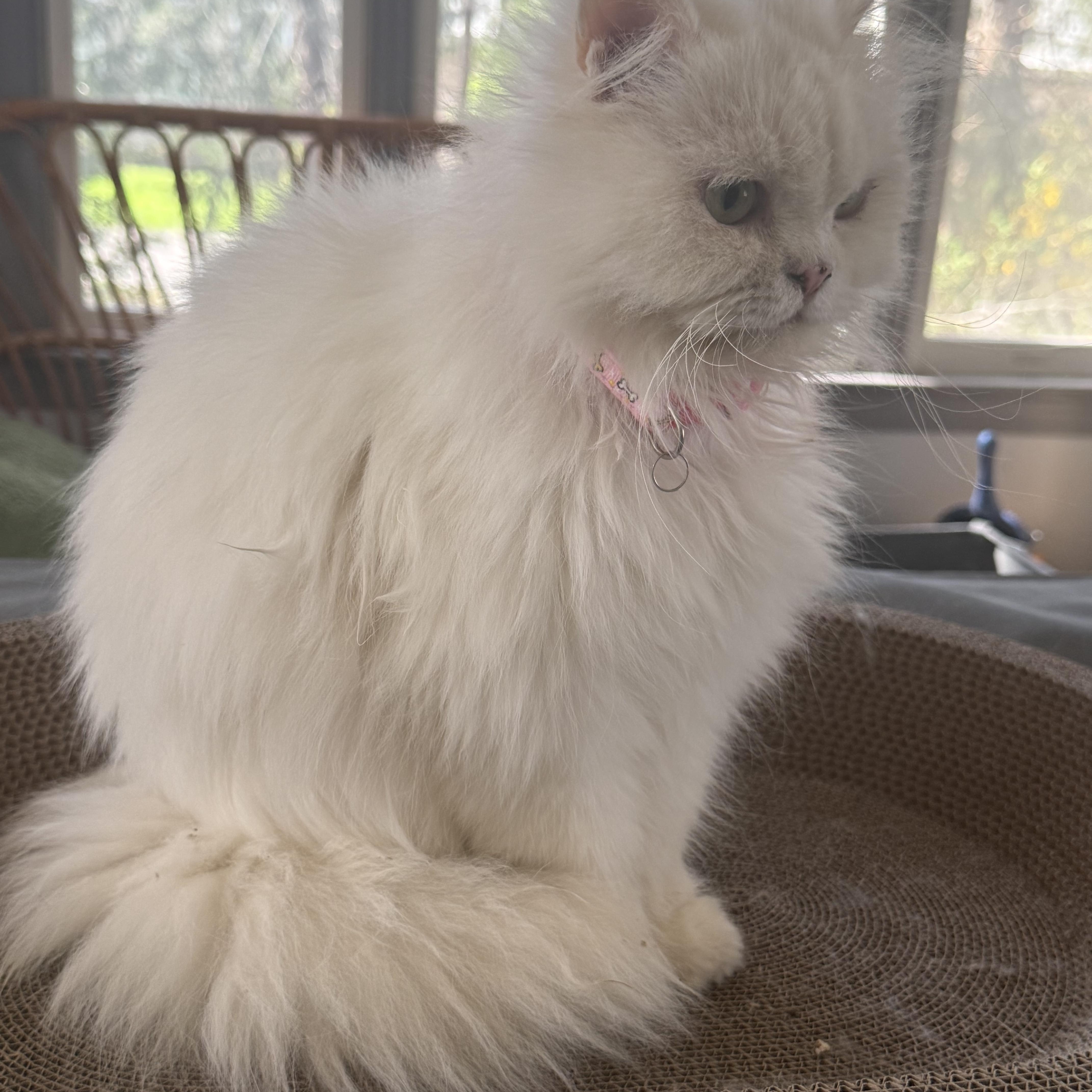 Marvelous Mirelle thumbnail 3