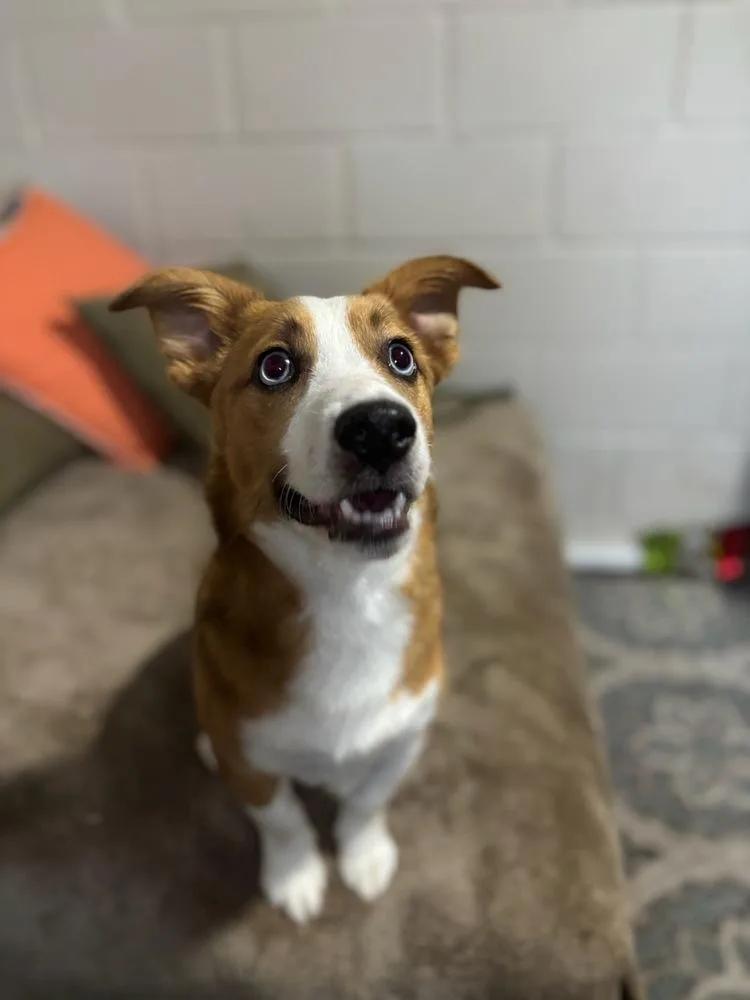 Rusty