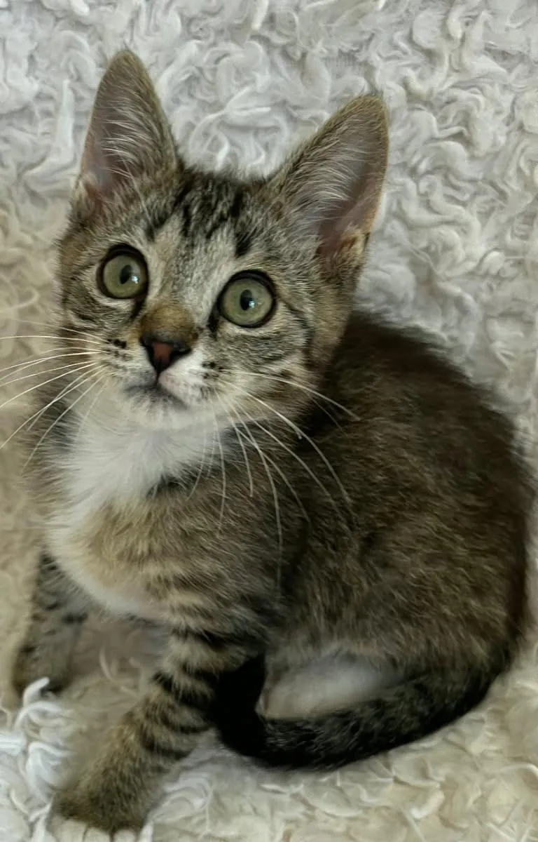 Matt Weaver thumbnail 2