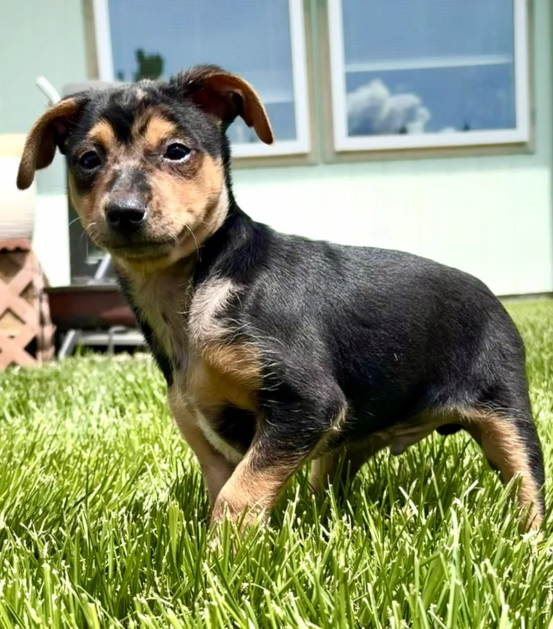 Errol thumbnail 4