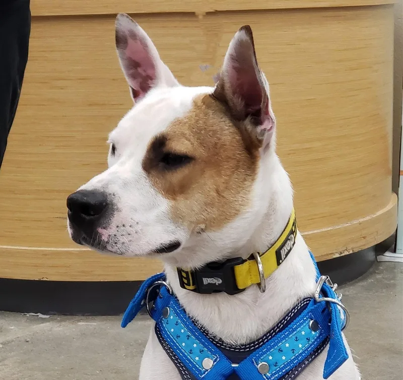 Lucas Readytosnuggle thumbnail 2