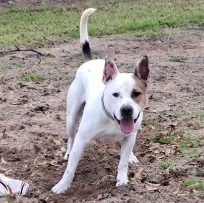 Lucas Readytosnuggle thumbnail 3