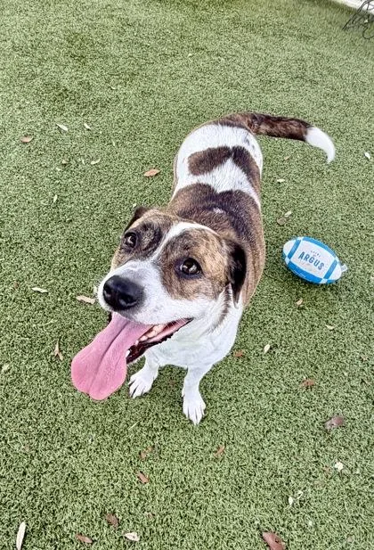 Virginia thumbnail 2