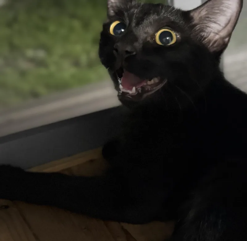 Andy thumbnail 2