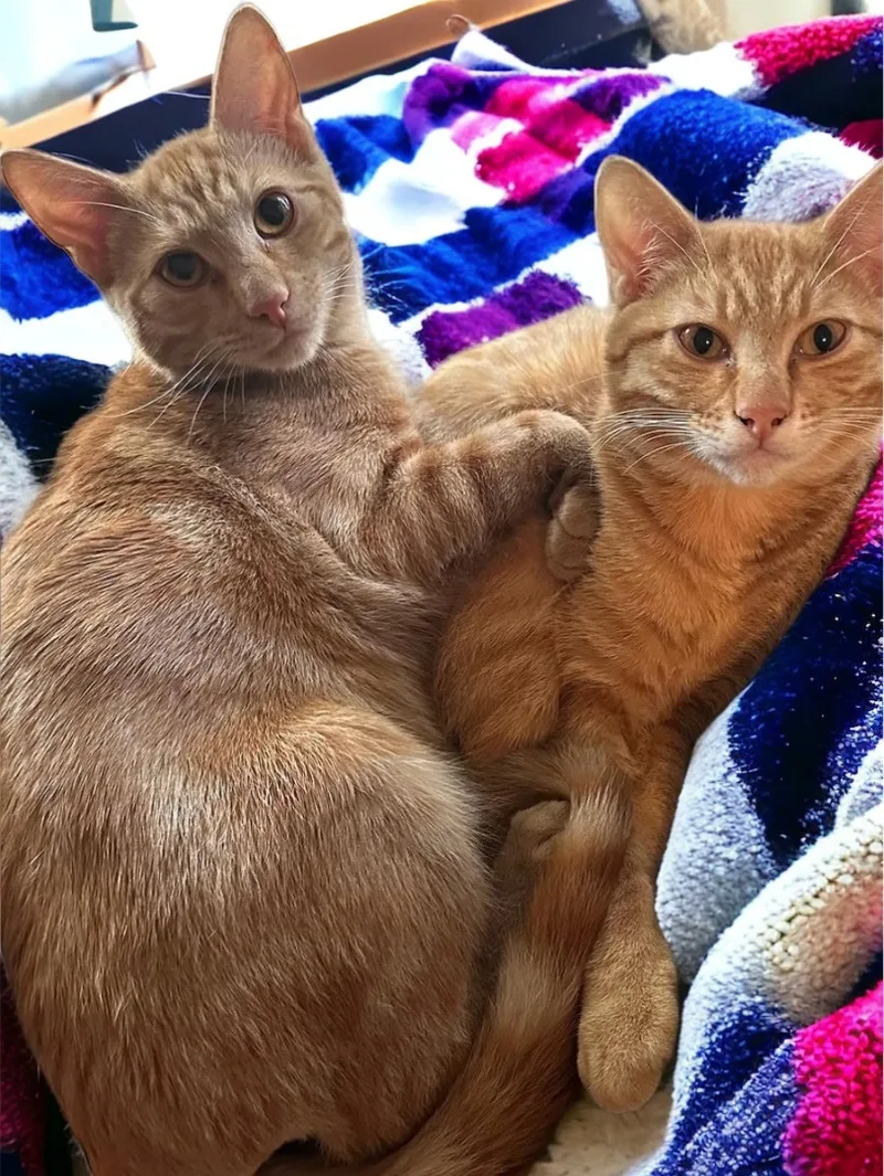 Boggs And Haller Indoor thumbnail 3